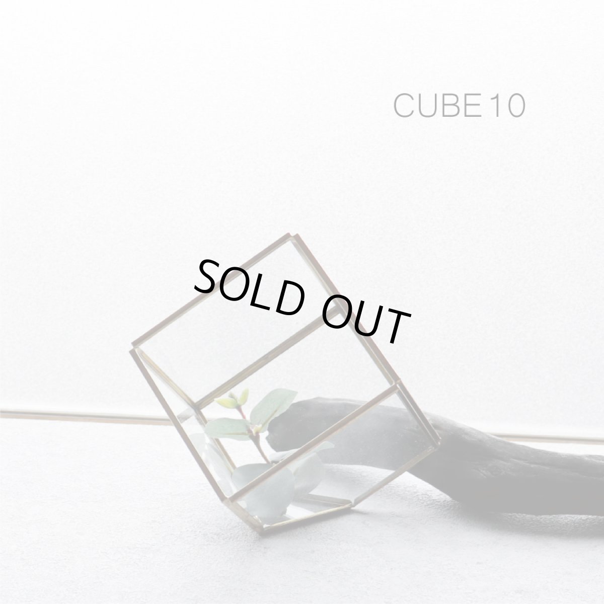画像1: 【FARM】CUBE 10　93080　テラリウム　キューブ　10cm ガラス　Terrarium 　 (1)
