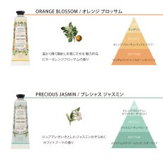 画像7: 【 PANIER DES SENS 】パニエデサンス　ABUSOLUTE   ハンドケア　ギフトセット　ハンドクリーム　30ml　3本　ローズゼラニウム　オレンジブロッサム　ジャスミン (7)