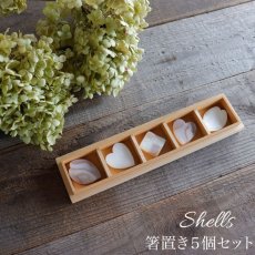 画像1: 【Pearl Collection】箸置き　５個セット　シェル　花びら　ハート　市松　木箱入り (1)